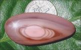 IMPERIAL ORBICULAR JASPER DESIGNER CABOCHON (Mexico) � 22.8 ct. Free Shape